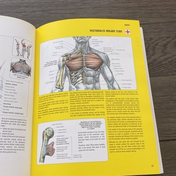 Delavier strength, training, anatomy, second edition - Picture 6 of 10